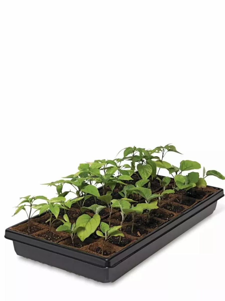 Indoor Garden * | Gsc 2" Square Biodegradable Pots And Tray Set