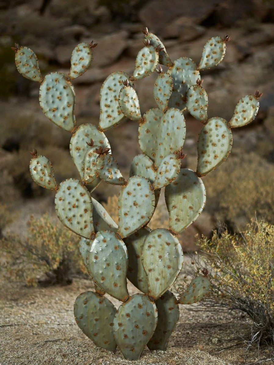 Yard & Garden Decor * | Gsc Desert Steel Prickly Pear Cactus Sculpture, Grande