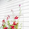 Yard & Garden Decor * | Gsc Chicken Wire Wall Trellis