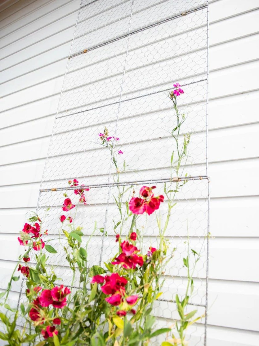 Yard & Garden Decor * | Gsc Chicken Wire Wall Trellis