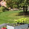 Indoor Garden * | Gsc Galvanized Seed Starting Tray