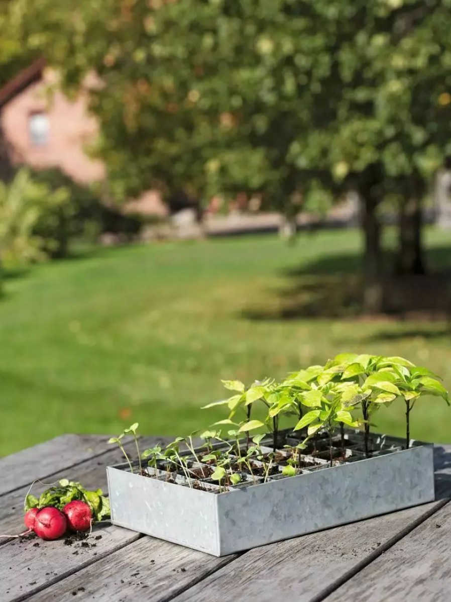 Indoor Garden * | Gsc Galvanized Seed Starting Tray