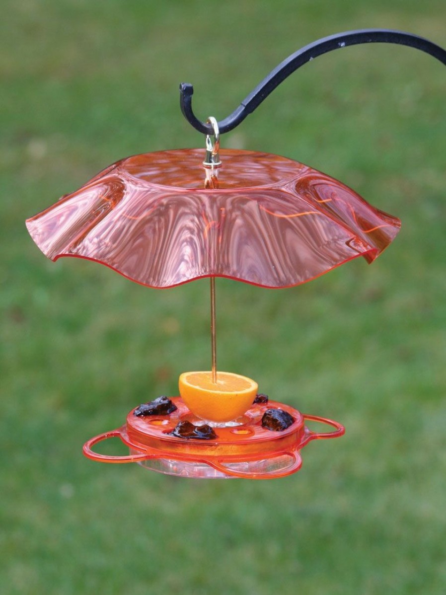 Backyard Habitat * | Gsc Birds Choice Oriole Feeder With Bee And Weather Guard