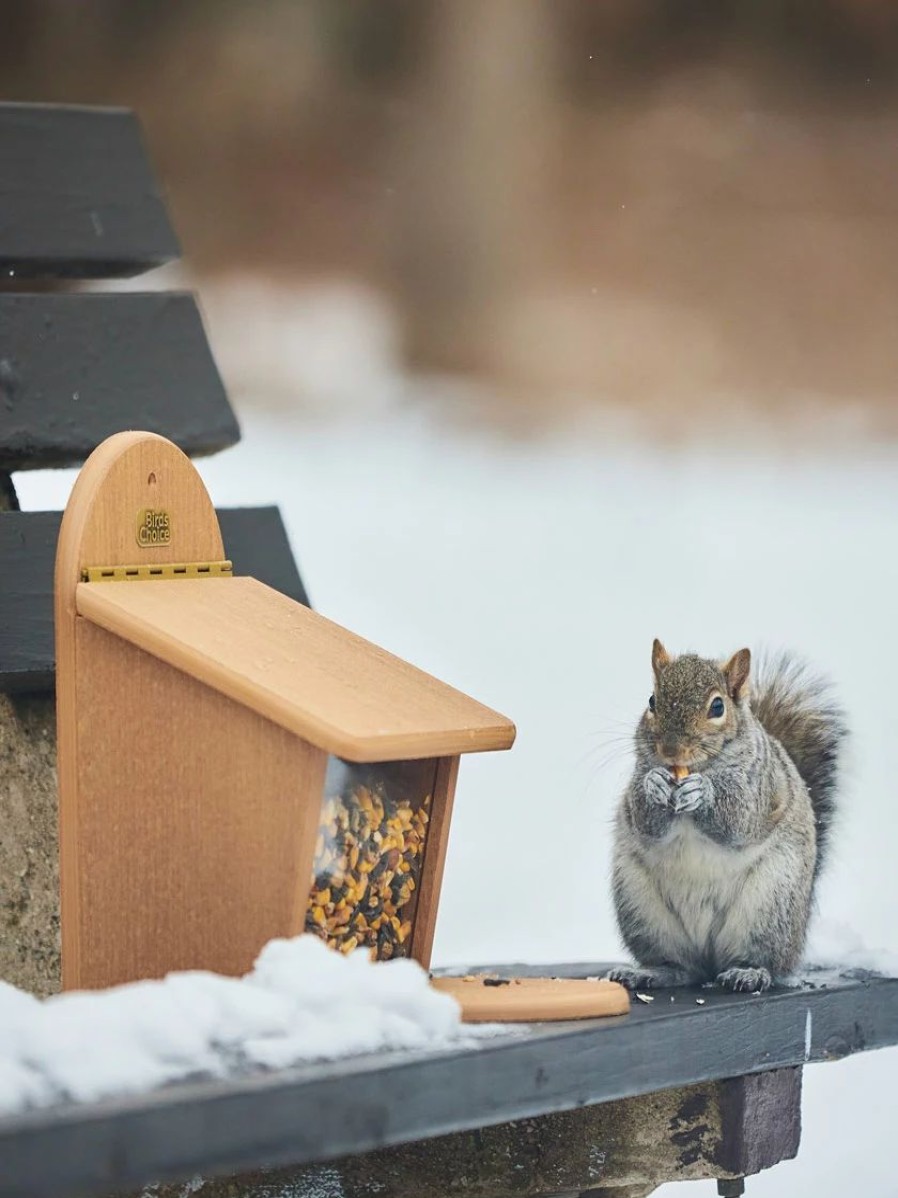 Backyard Habitat * | Gsc Spruce Creek Squirrel Munch Box