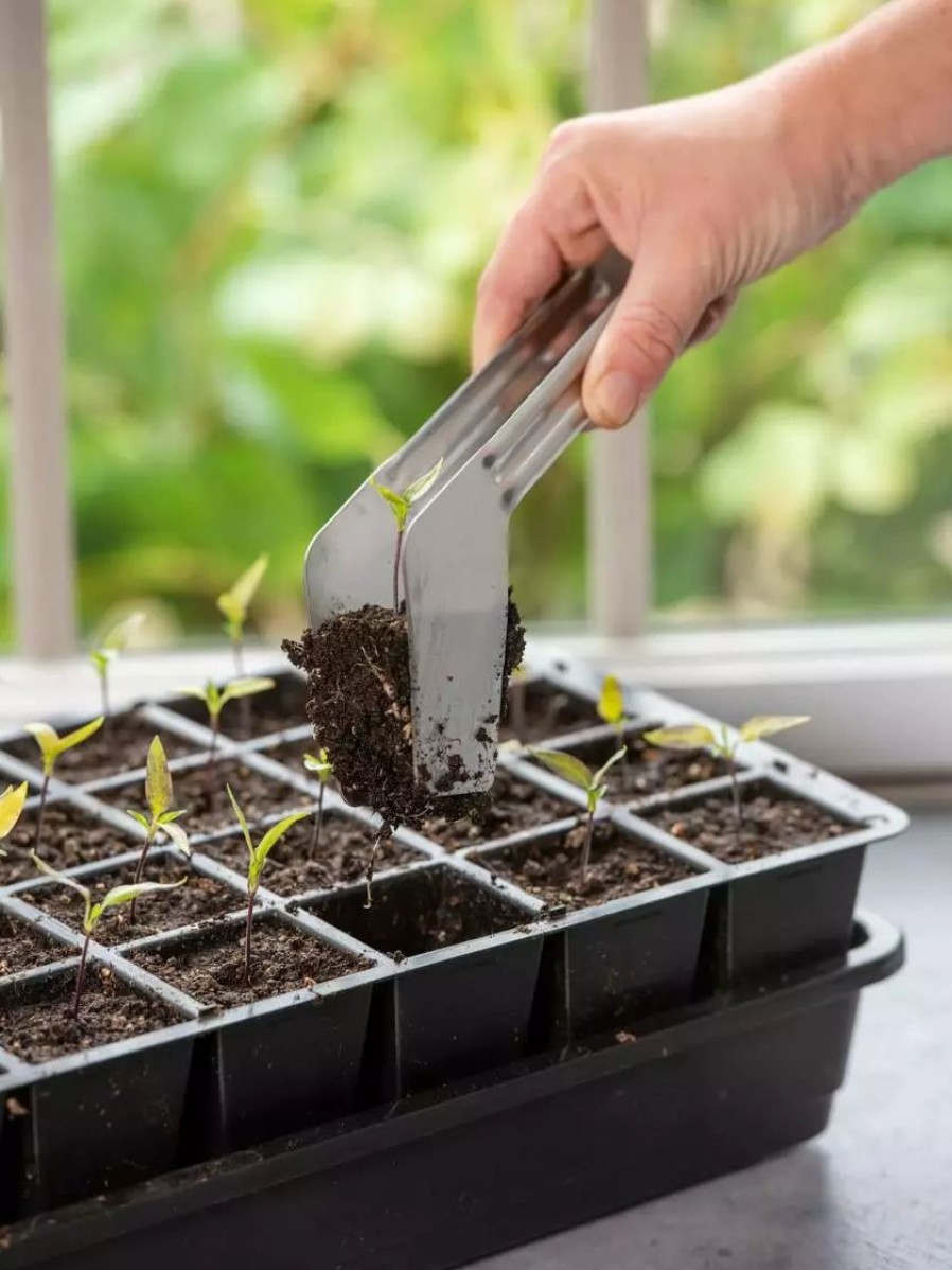 Indoor Garden * | Gsc Seedling Transplant Tongs