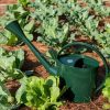 Watering & Irrigation * | Gsc Long Reach Watering Can, Large Green