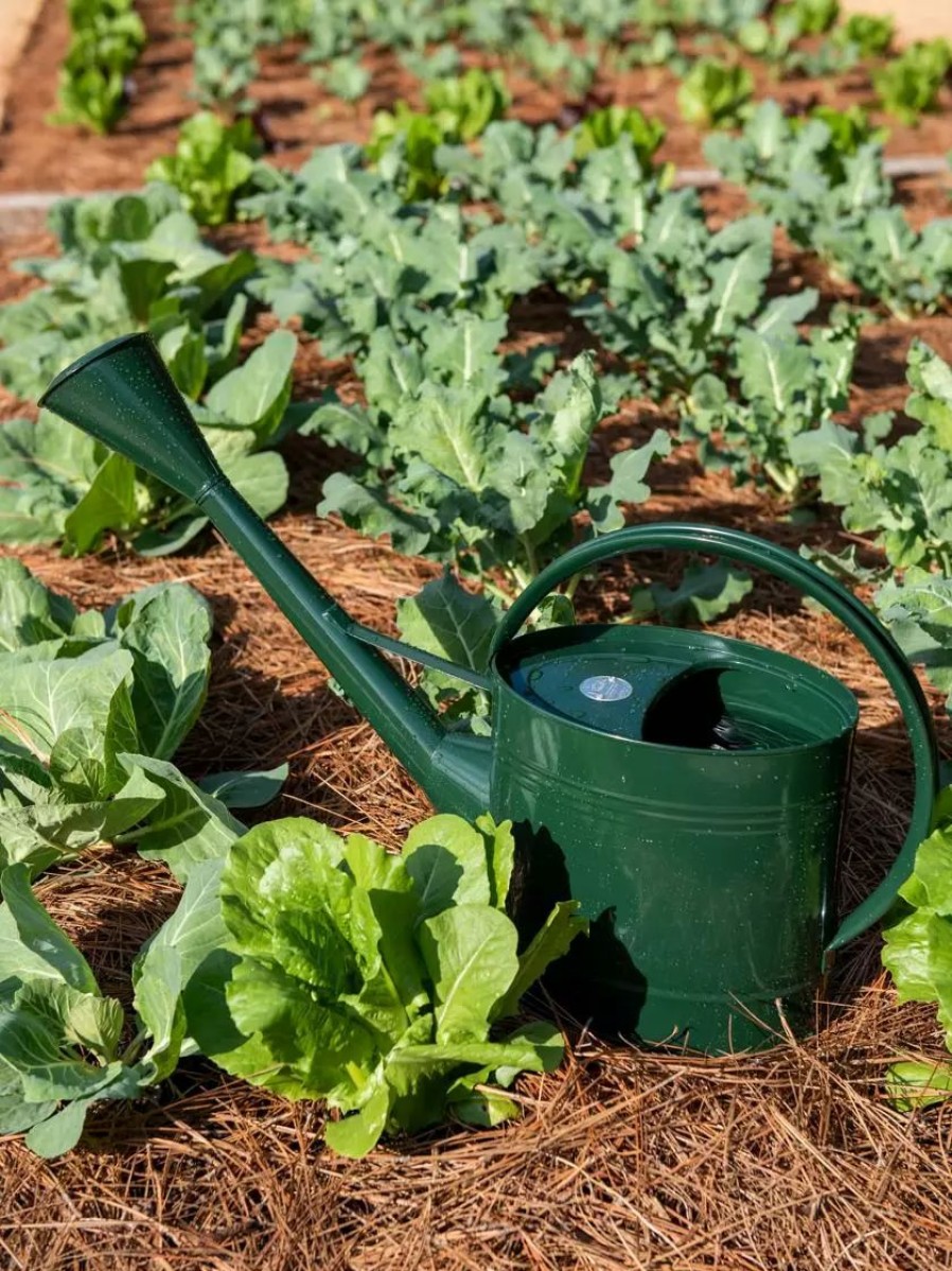 Watering & Irrigation * | Gsc Long Reach Watering Can, Large Green