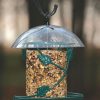 Backyard Habitat * | Gsc Birds Choice Hanging Seed Cylinder Bird Feeder