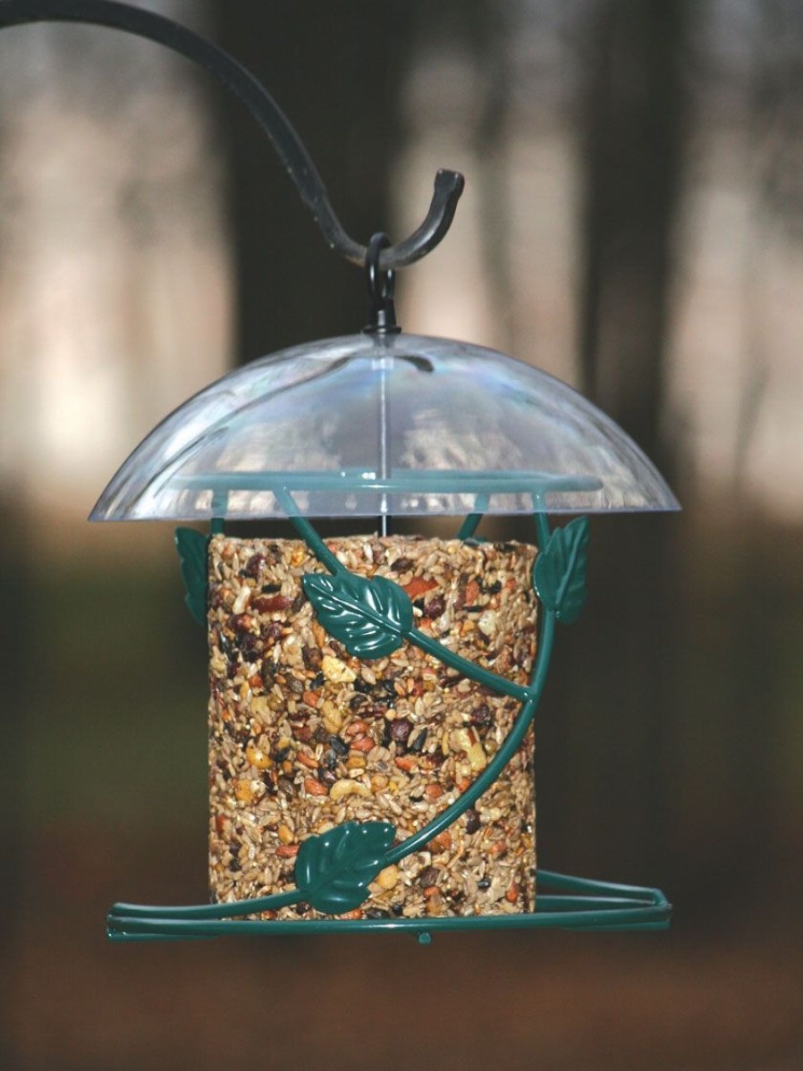 Backyard Habitat * | Gsc Birds Choice Hanging Seed Cylinder Bird Feeder