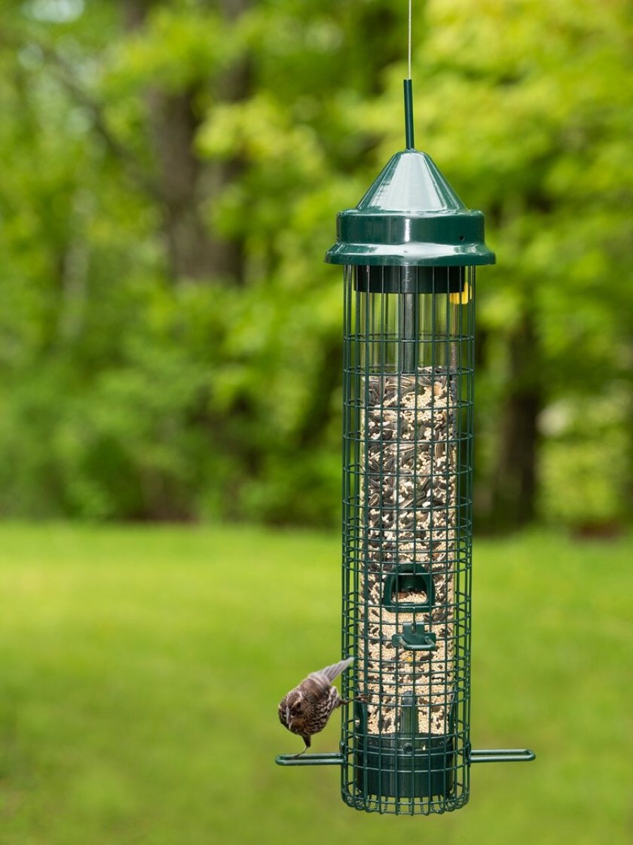 Backyard Habitat * | Gsc Brome Squirrel Buster Classic Bird Feeder