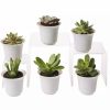 Indoor Garden * | Gsc Succulent Terrarium Plant Collection, Set Of 6