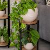 Indoor Garden * | Gsc Double Tower Plant Stand