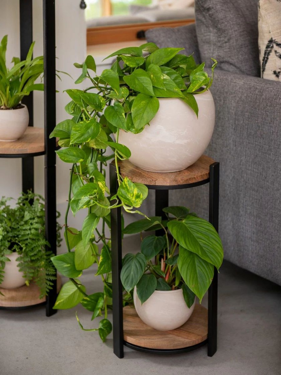 Indoor Garden * | Gsc Double Tower Plant Stand