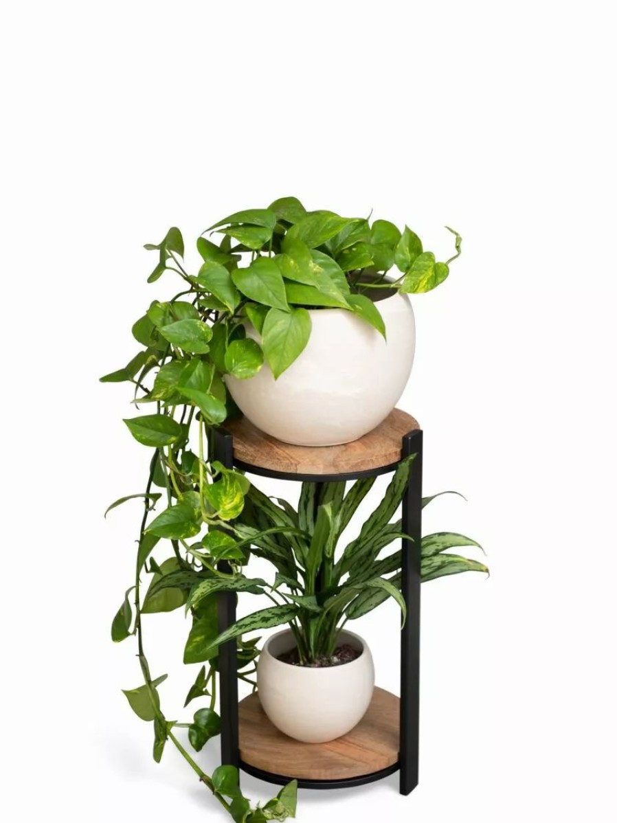 Indoor Garden * | Gsc Double Tower Plant Stand