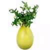 Indoor Garden * | Gsc Achla Designs Teardrop Rooting Vase