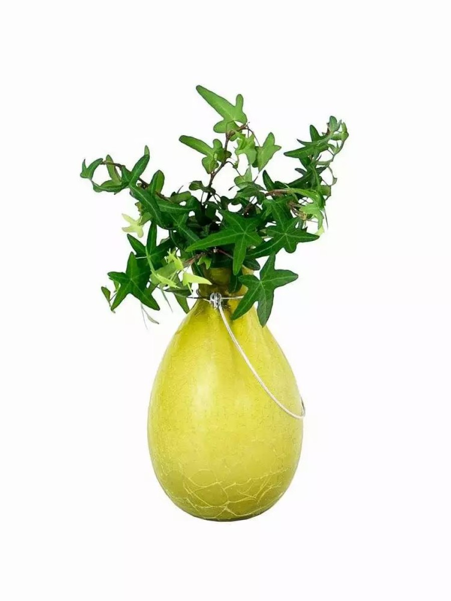 Indoor Garden * | Gsc Achla Designs Teardrop Rooting Vase