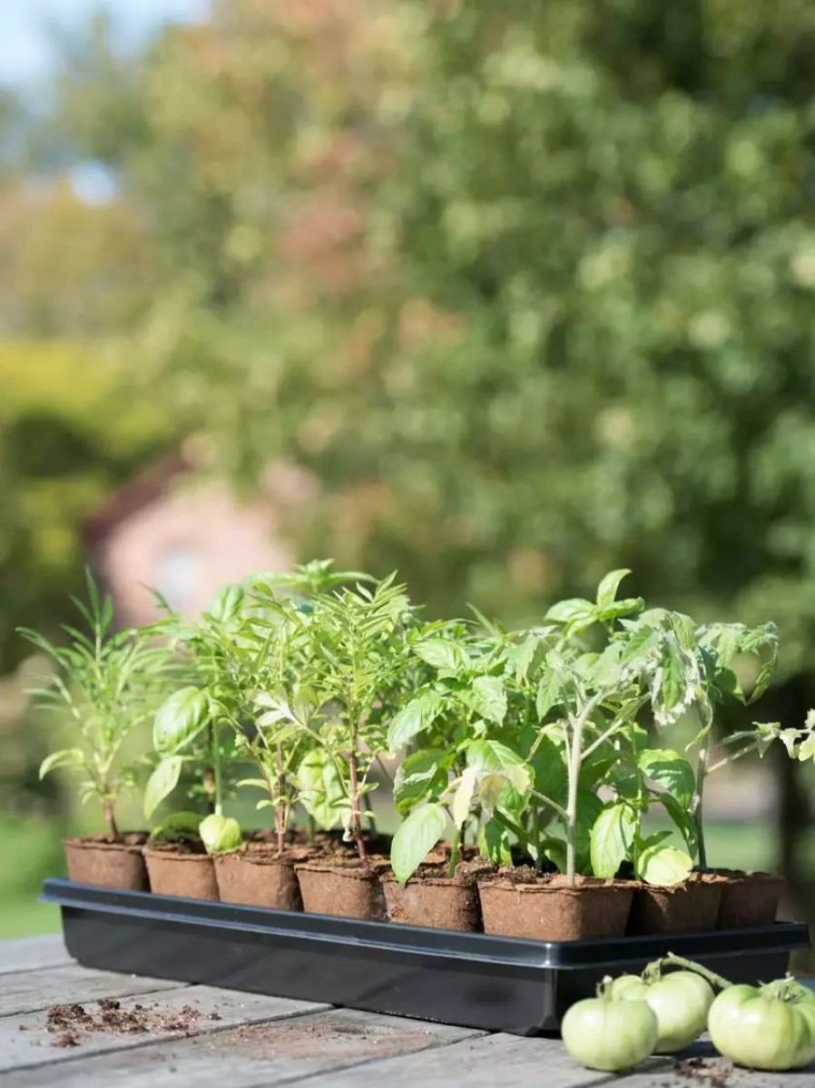 Indoor Garden * | Gsc 3-1/2" Square Biodegradable Pots & Tray Set