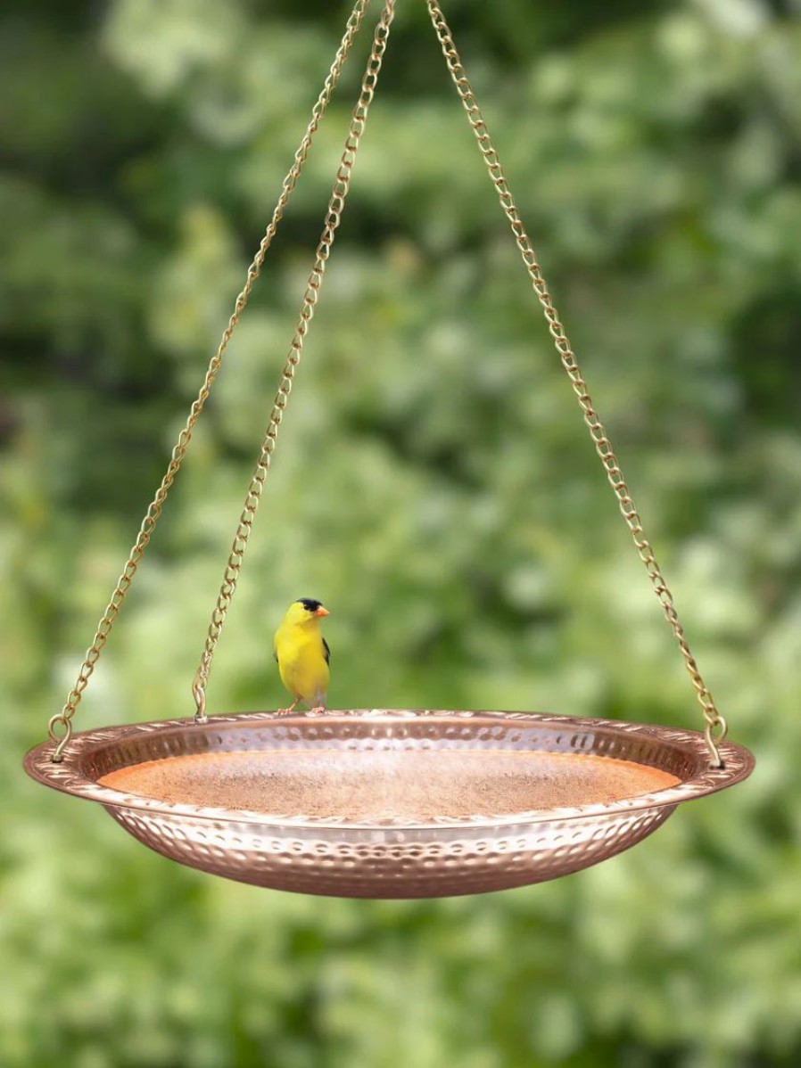 Backyard Habitat * | Gsc Copper Hanging Birdbath, 18