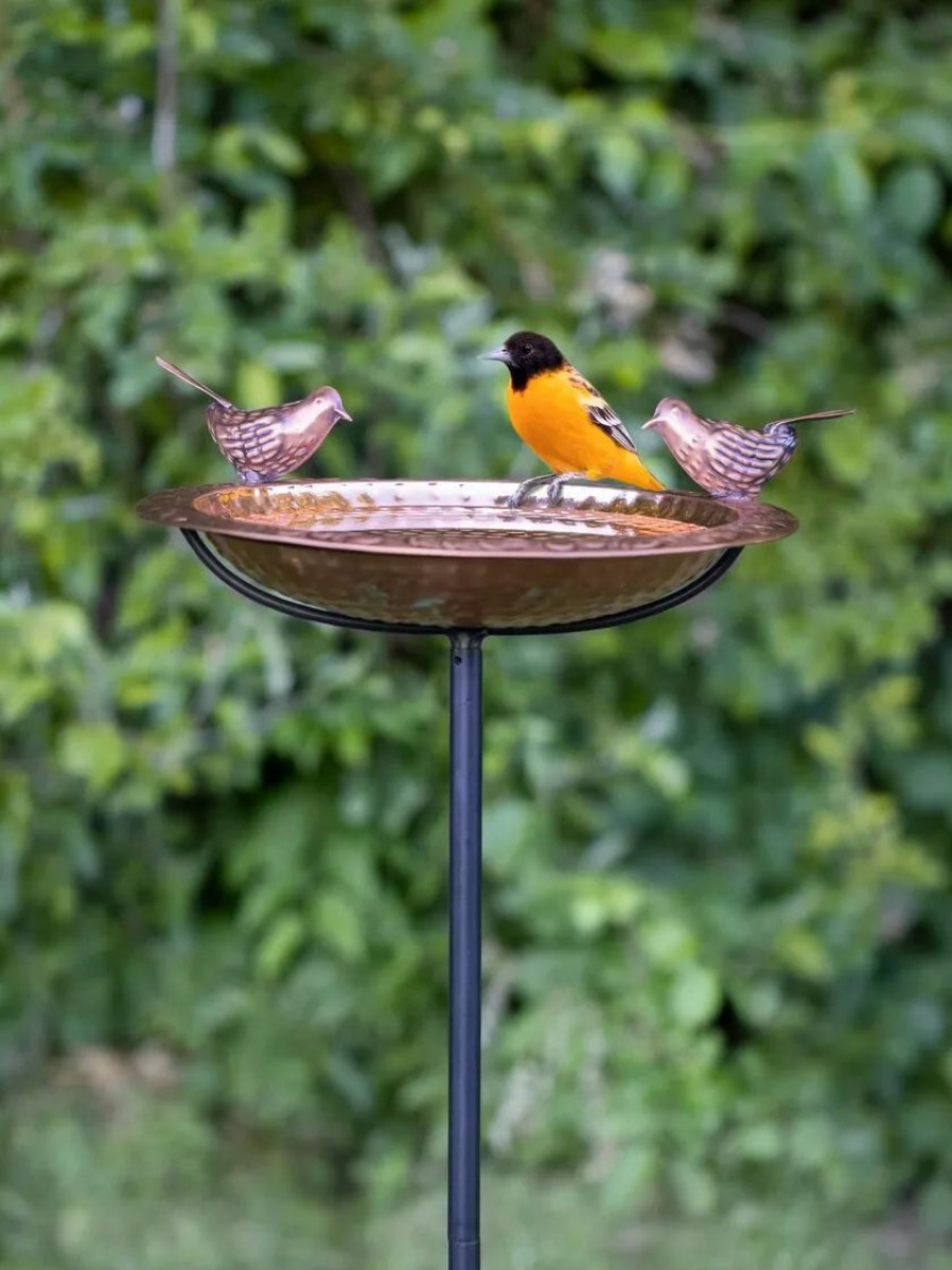 Backyard Habitat * | Gsc Pure Copper Bird Bath With Two Copper Birds And Multipronged Garden Pole