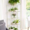 Indoor Garden * | Gsc Oslo 4-Tier Plant Stand With Folding Shelves