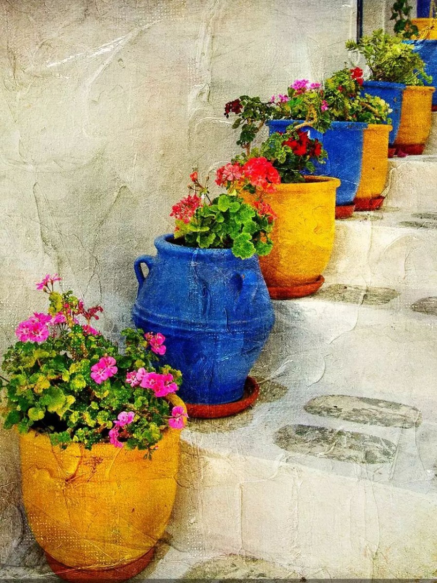 Yard & Garden Decor * | Gsc Bright Pots Outdoor Wall Art,