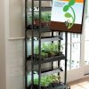 Indoor Garden * | Gsc Growlab Compact 3-Tier Light Garden With Classroom Guide