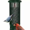 Backyard Habitat * | Gsc Brome Squirrel Buster Legacy Bird Feeder