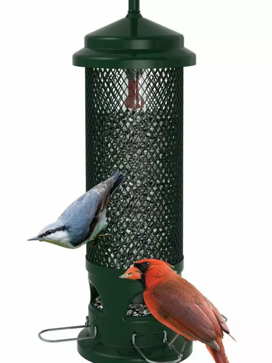 Backyard Habitat * | Gsc Brome Squirrel Buster Legacy Bird Feeder