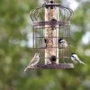 Backyard Habitat * | Gsc Edwardian Bird Feeder