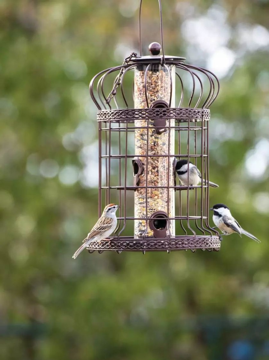 Backyard Habitat * | Gsc Edwardian Bird Feeder