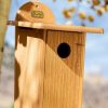 Backyard Habitat * | Gsc Spruce Creek Bluebird House