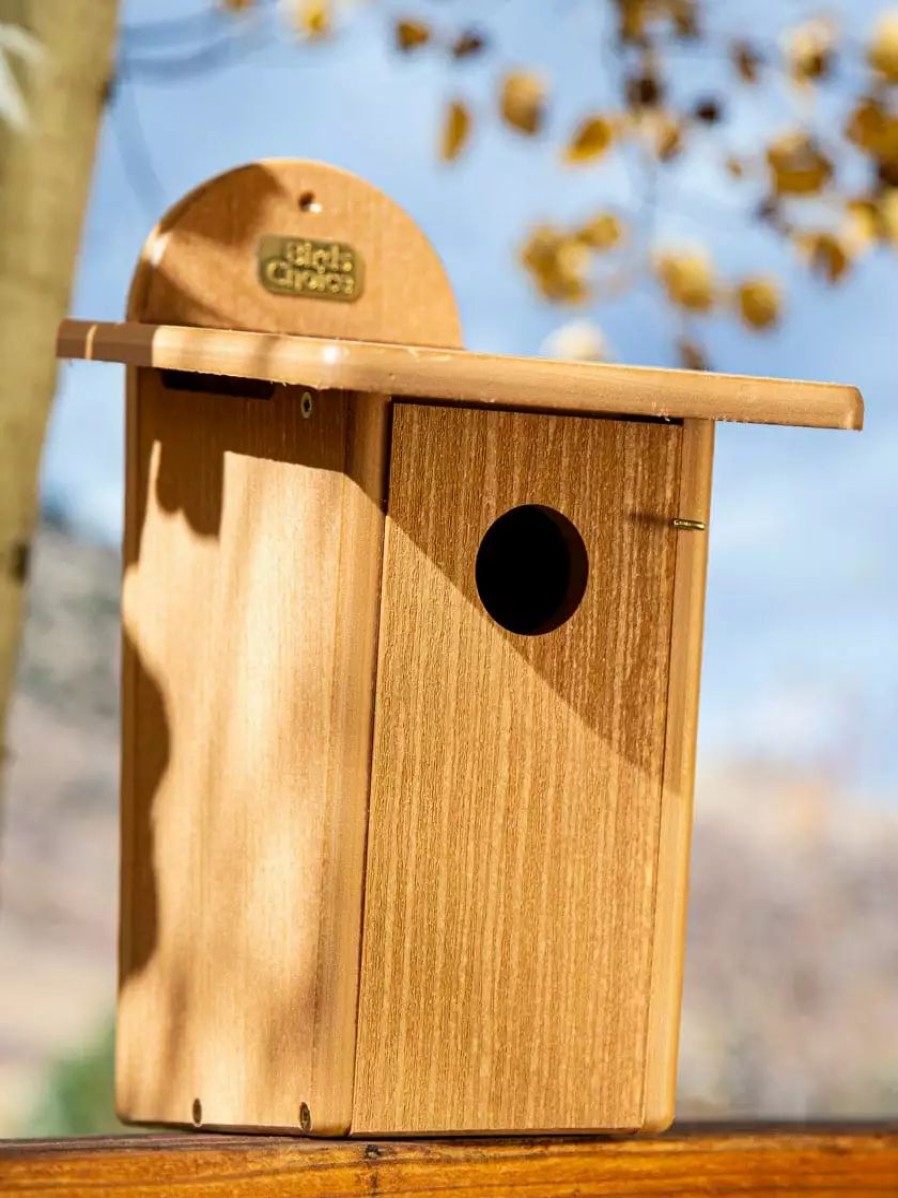 Backyard Habitat * | Gsc Spruce Creek Bluebird House