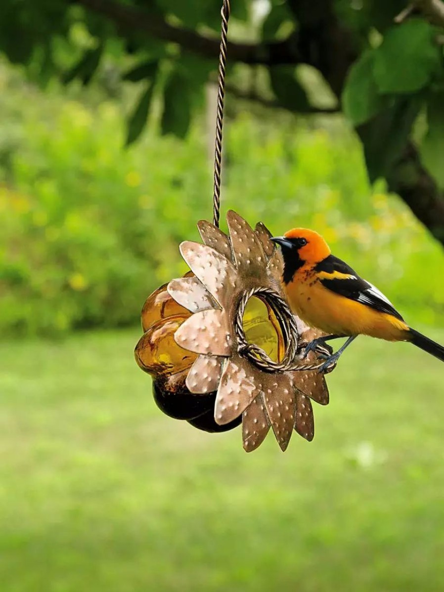 Backyard Habitat * | Gsc Oriole Jelly Feeder