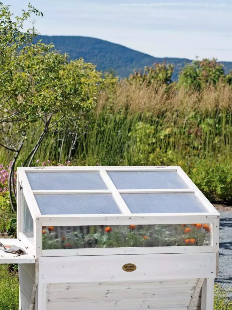 Season Extenders * | Gsc Cold Frame For Compact Vegtrug