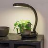 Indoor Garden * | Gsc Agrobrite Desktop Led Plant Lamp