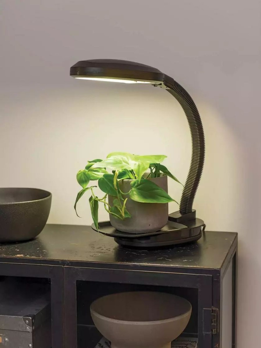 Indoor Garden * | Gsc Agrobrite Desktop Led Plant Lamp