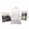 Indoor Garden * | Gsc Cloche Terrarium Kit Medium