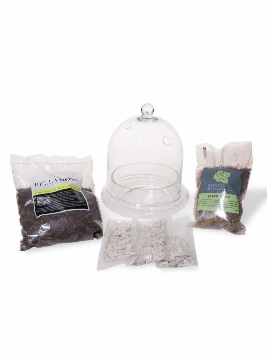 Indoor Garden * | Gsc Cloche Terrarium Kit Medium