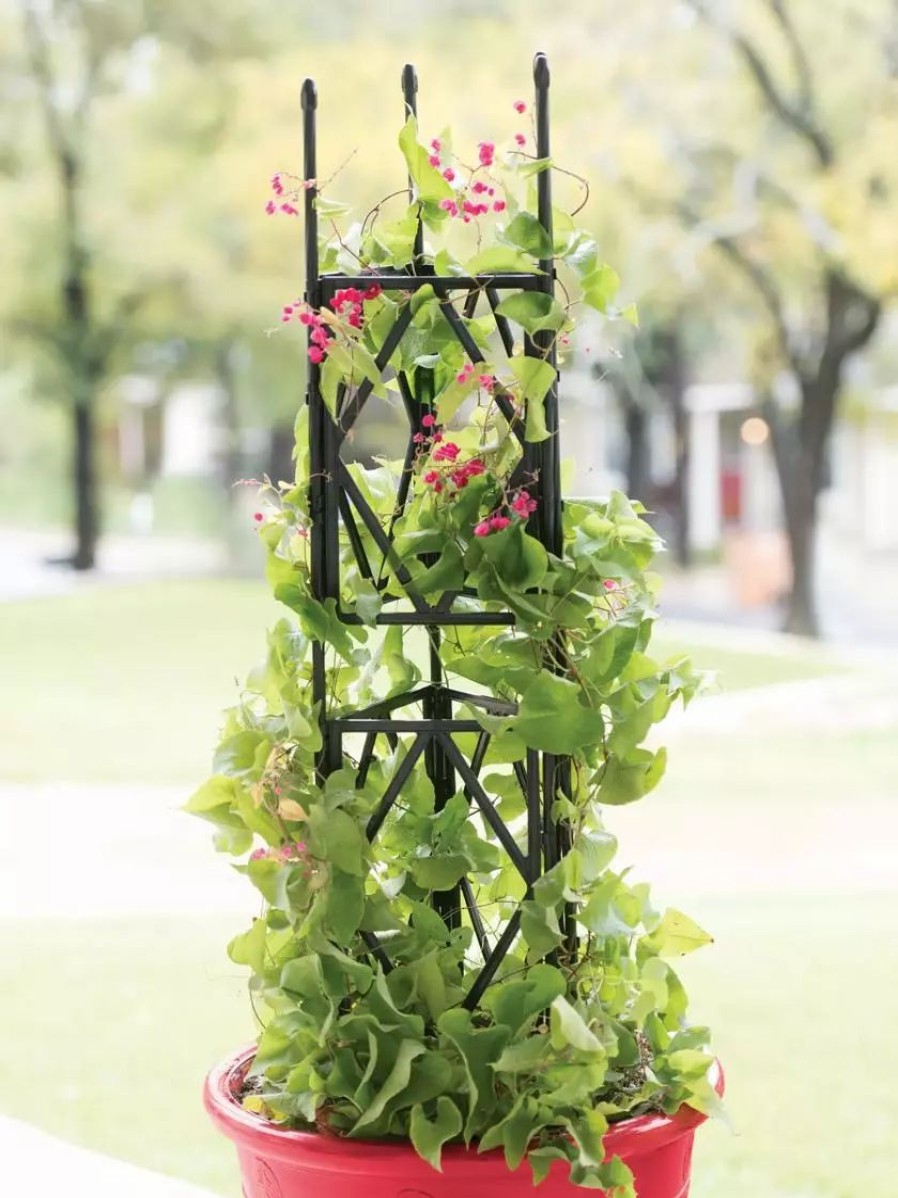 Yard & Garden Decor * | Gsc Diamond Trellis