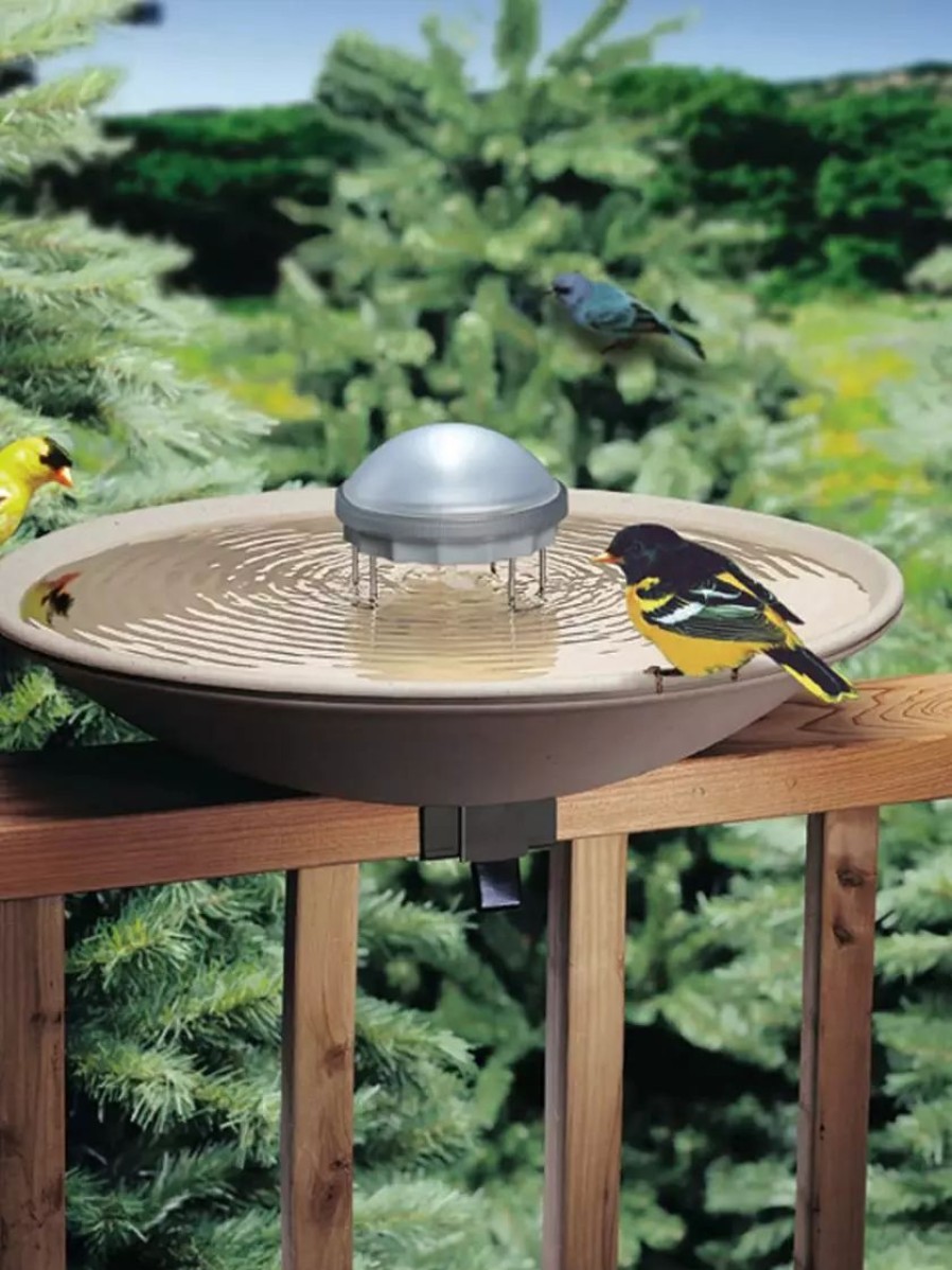 Backyard Habitat * | Gsc Birds Choice Aurora Water Wiggler