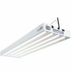 Indoor Garden * | Gsc Agrobrite Designer 216W T5 4-Tube Fixture With Bulbs, 4