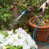 Watering & Irrigation * | Gsc Indoor Outdoor Plant Sprayers Blue