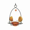 Backyard Habitat * | Gsc Birds Choice Oriole Flower Feeder