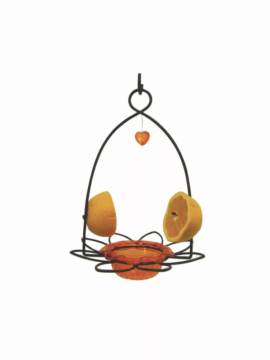 Backyard Habitat * | Gsc Birds Choice Oriole Flower Feeder