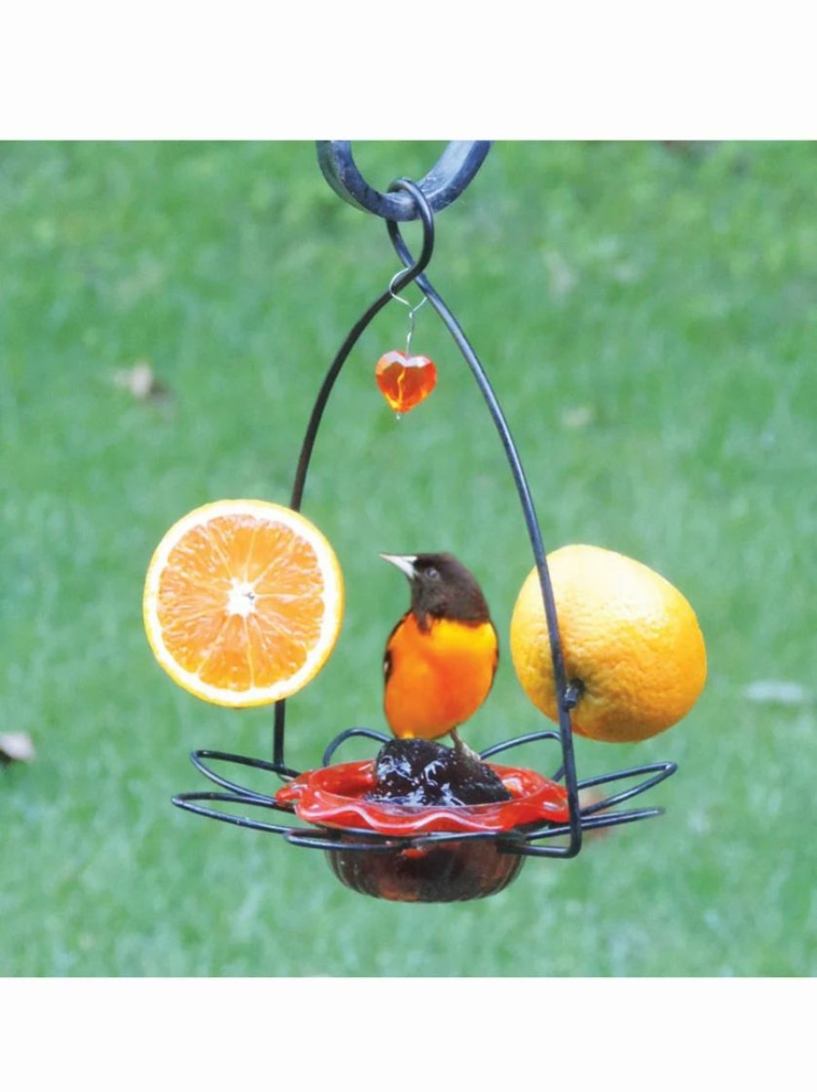 Backyard Habitat * | Gsc Birds Choice Oriole Flower Feeder