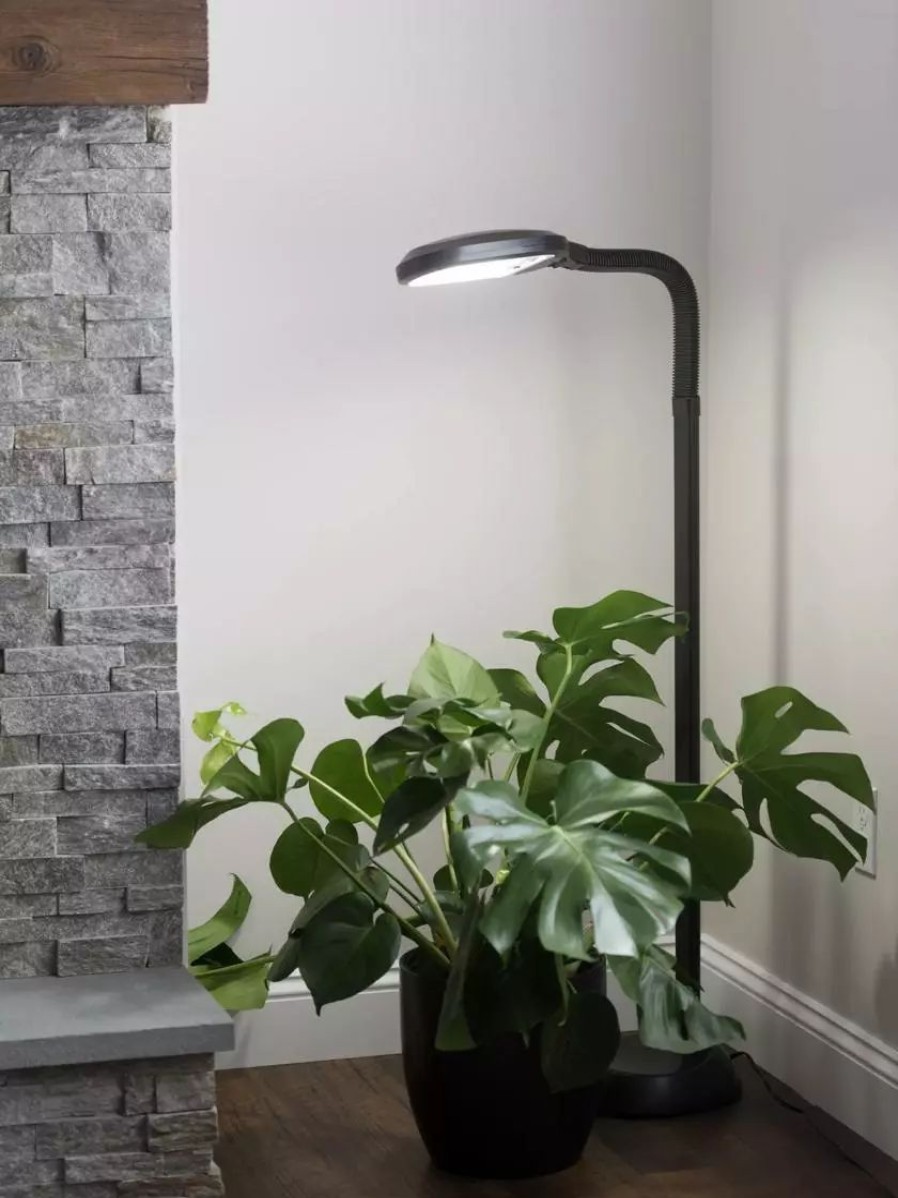 Indoor Garden * | Gsc Agrobrite Floor Plant Lamp