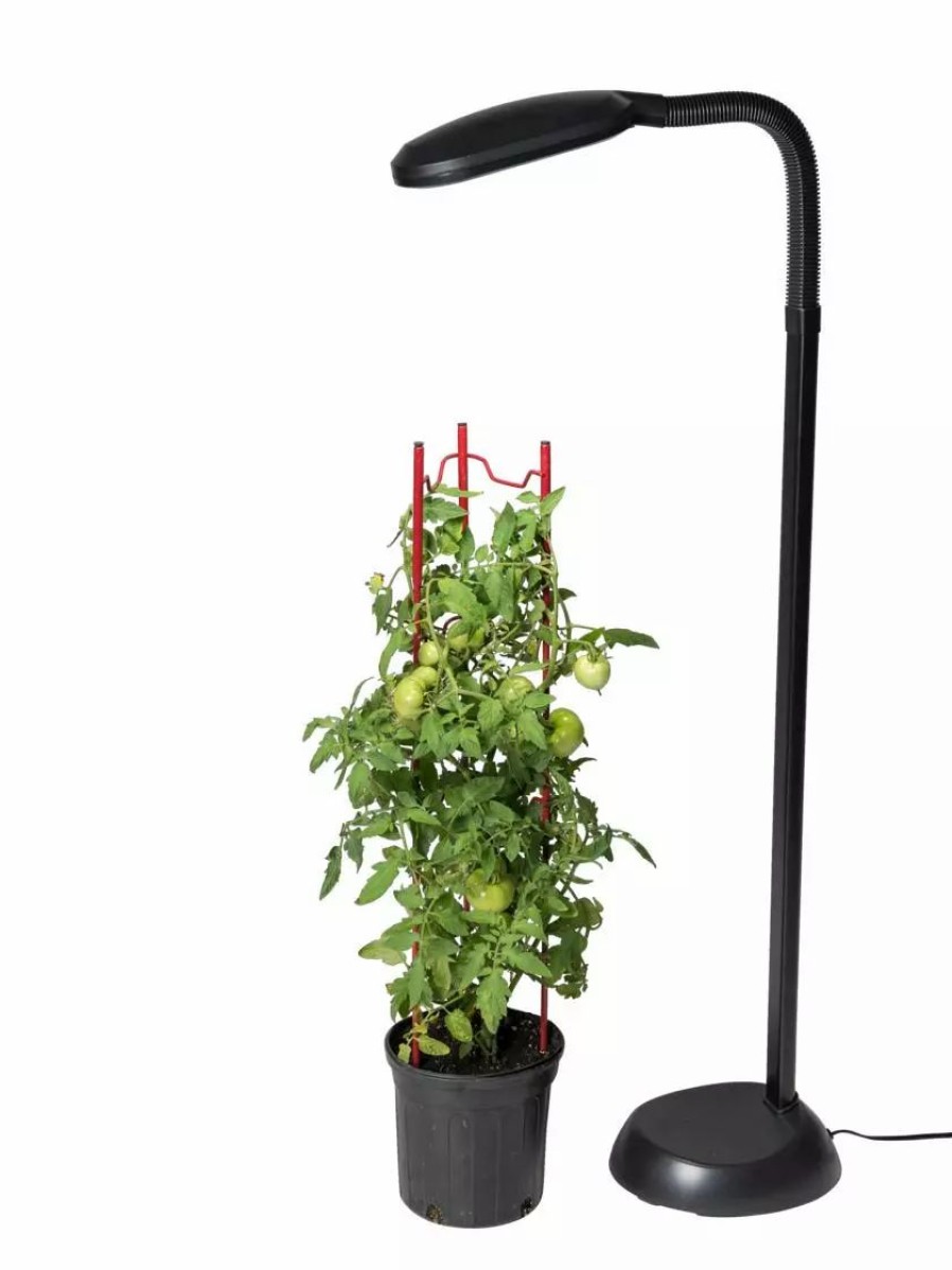 Indoor Garden * | Gsc Agrobrite Floor Plant Lamp