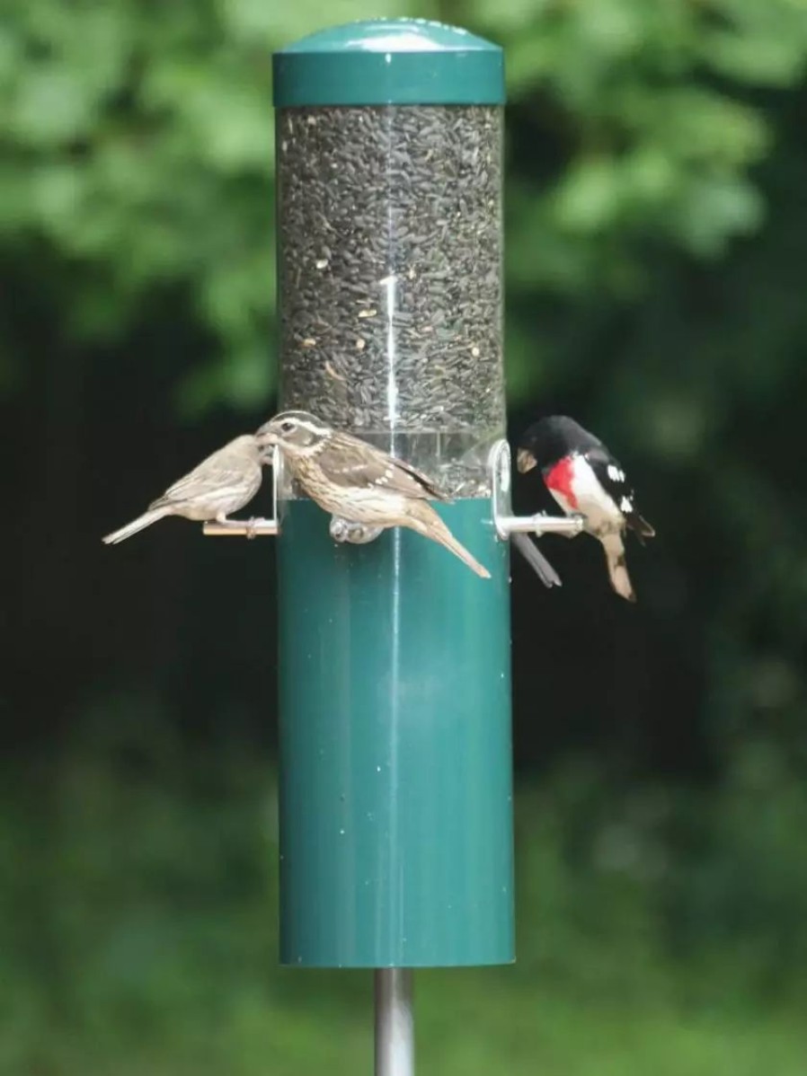 Backyard Habitat * | Gsc Birds Choice Feeder With Squirrel Baffle & Pole