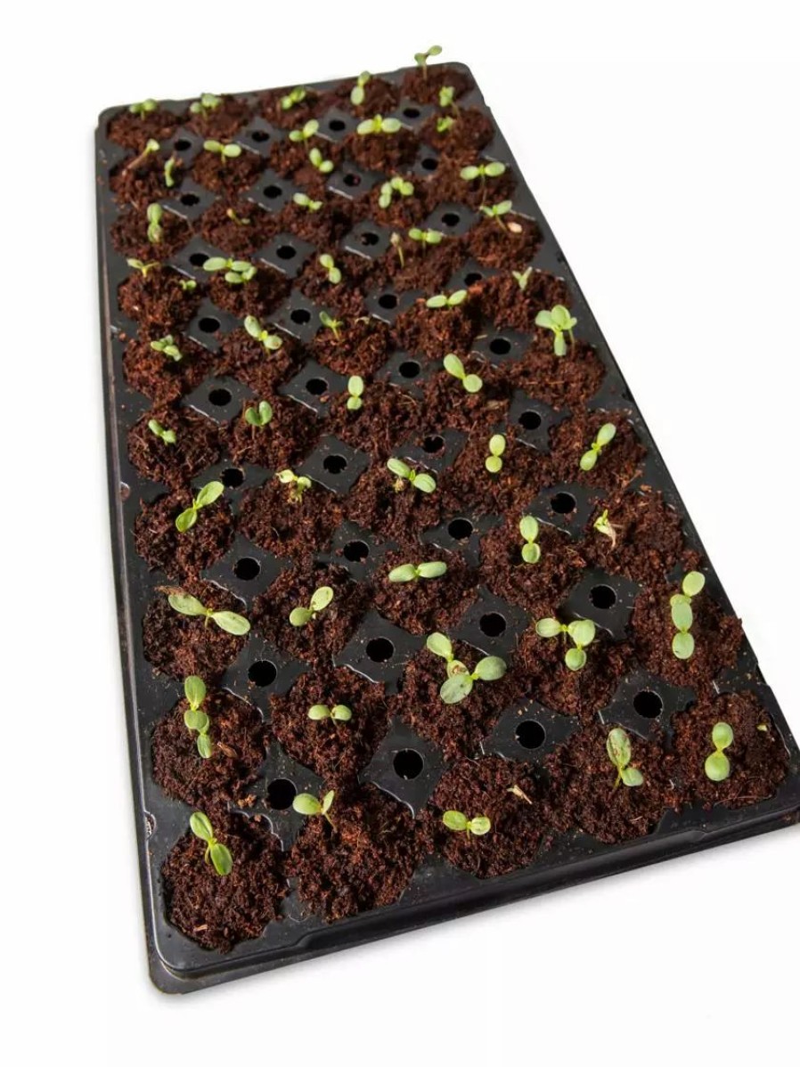 Indoor Garden * | Gsc Coco Coir Seed Starting Discs And Tray