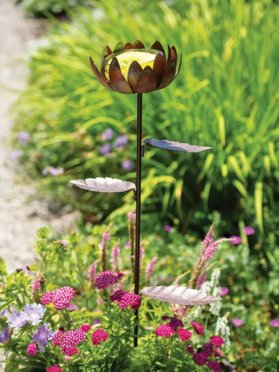 Backyard Habitat * | Gsc Dahlia Butterfly Feeder